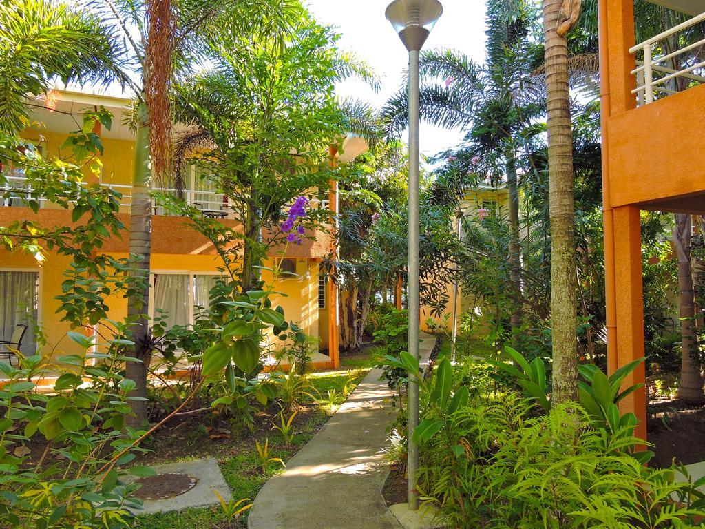 Koniambo Hotel Kone Luaran gambar
